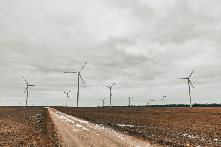 Exploring Careers in Renewable Energy and Sustainability