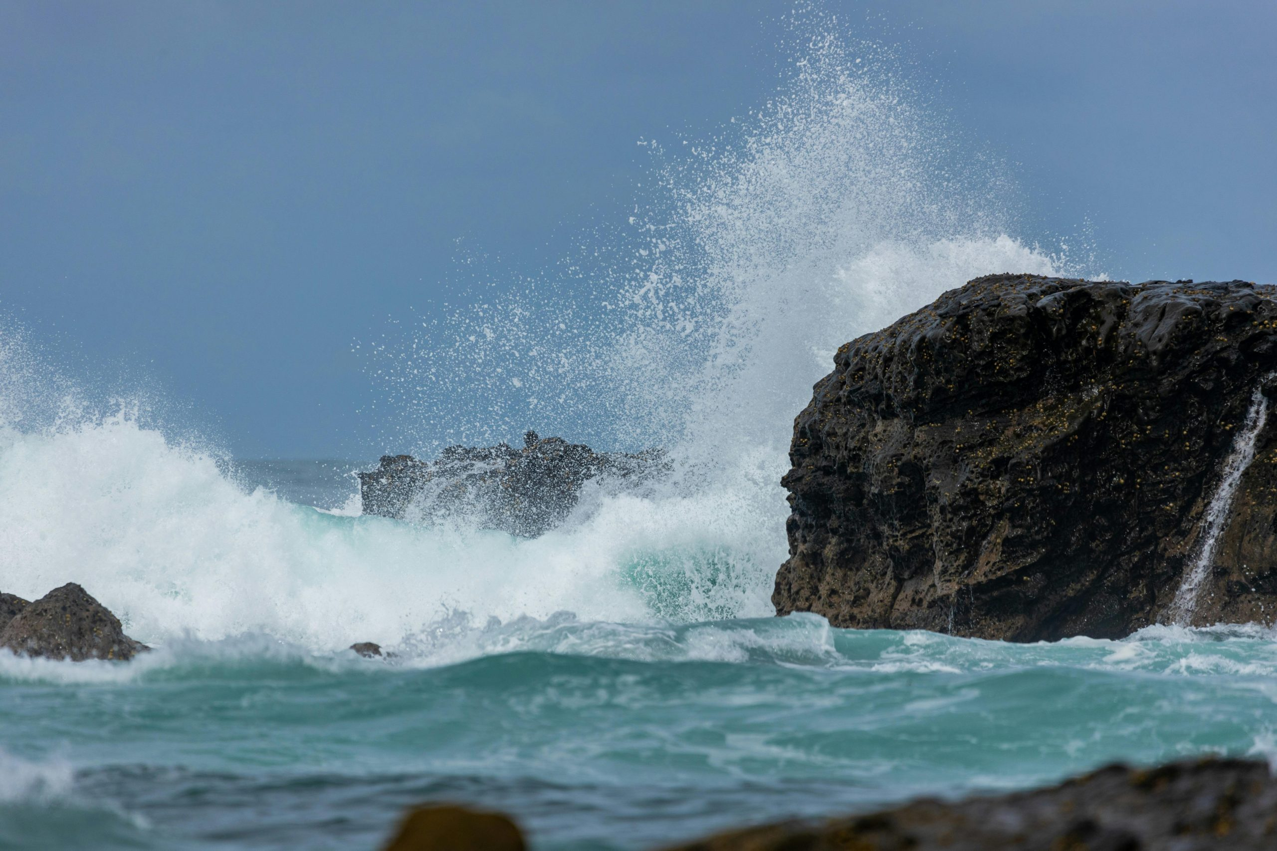 The Impact of Standardization on Music Formats