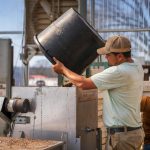 The Impact of Automation on Manufacturing and Industrial Jobs