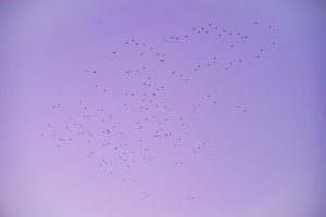 The Importance of Regularly Decluttering Your Digital Life