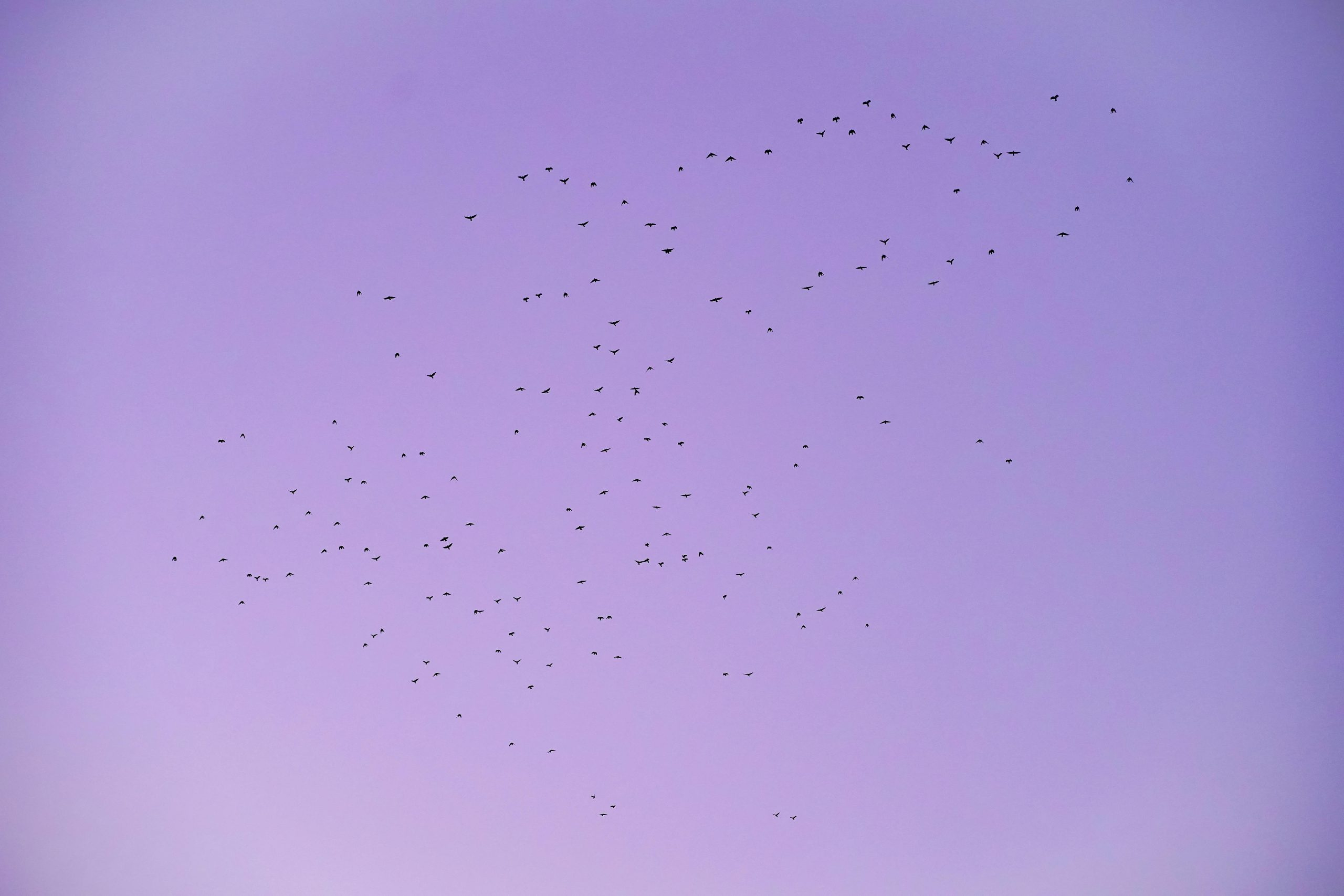 The Importance of Regularly Decluttering Your Digital Life