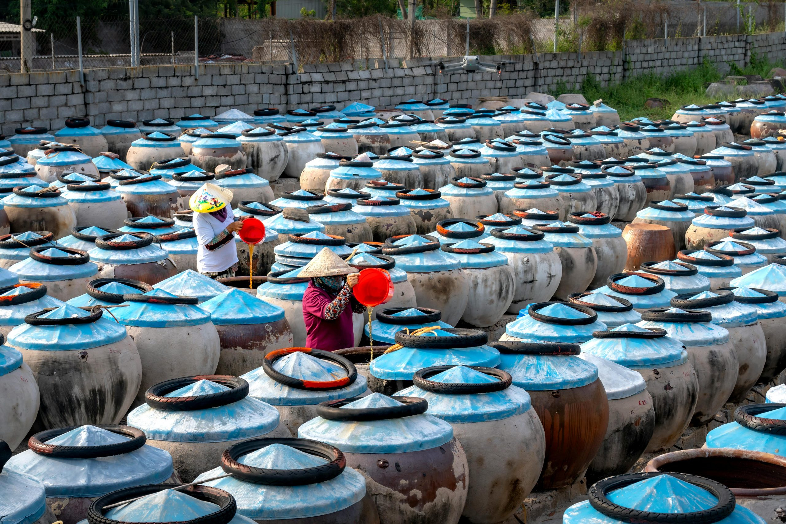 Understanding the Process of Property Title Search and Insurance