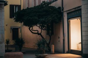 Strategies for Reducing Your Personal Carbon Footprint Shopping