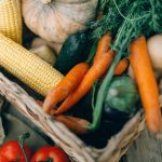 Investigating the Link Between Gut Health and Fermented Foods